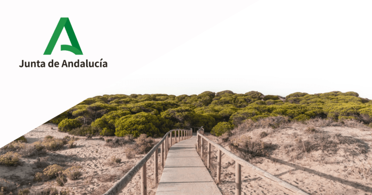 Calendario de días inhábiles en Andalucía a efectos de cómputos de plazos administrativos en 2023
