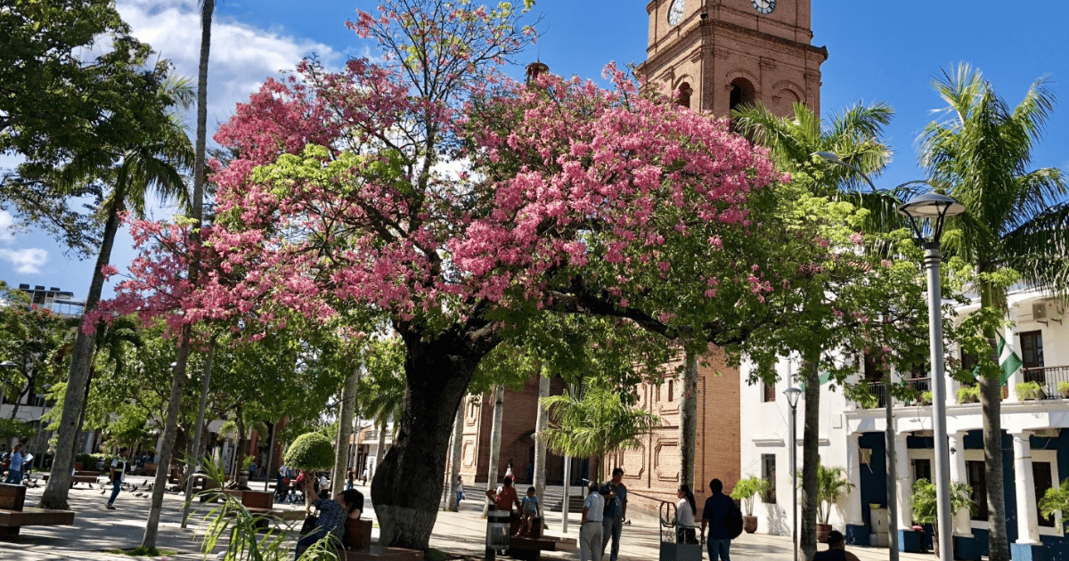 Convocatoria proceso selectivo para cubrir 95 plazas de Auxiliar en el Ayuntamiento de Santa Cruz de Tenerife